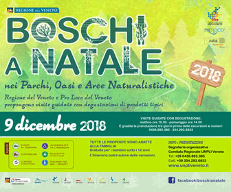 TREVISO BOSCHI A NATALE 2018