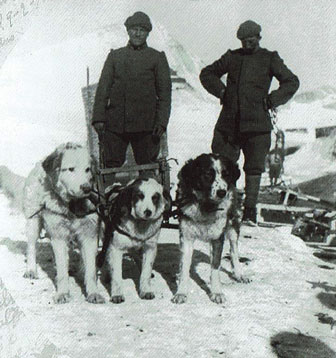 cani nella prima guerra mondiale