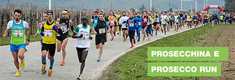 vidor prosecco run