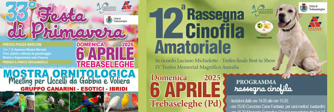 Trebaseleghe 33ª Festa Di Primavera, Fiera degli Uccelli, Mostra Ornitologica, Mostra di Cani, Rassegna Cinofila Amatoriale Domenica 6 Aprile 2025
