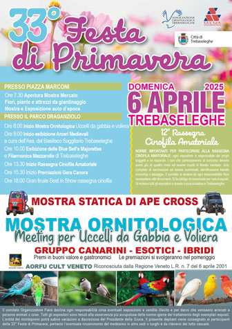 2025 TREBASELEGHE 32ª FESTA DI PRIMAVERA