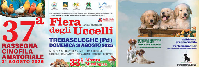 Trebaseleghe 37ª Fiera Degli Uccelli 37ª Rassegna Cinofila e 33ª Mostra Micologica Domenica 29 Agosto 2025