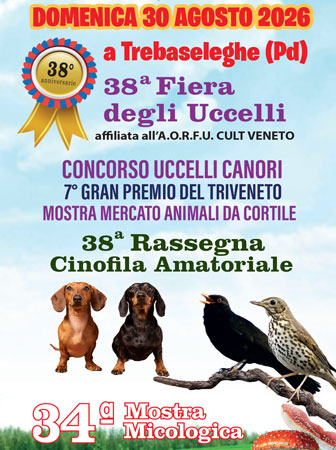 trebaseleghe fiera degli uccelli e rassegna cinofila amatoriale