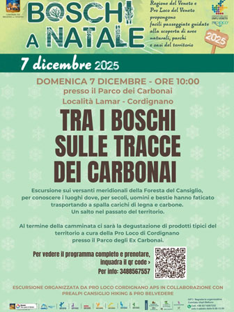 BOSCHI A NATALE a cordignano