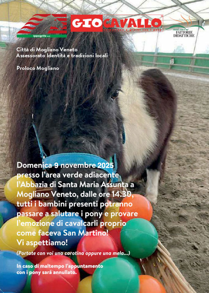 mogliano veneto gio cavallo