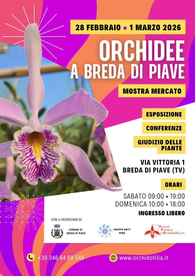 Orchidee a Breda di Piave Sabato 28 Febbraio e Domenica 1 Marzo 2026