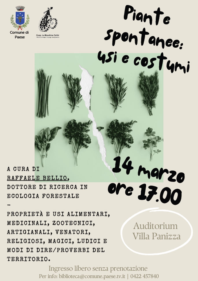 paese piante spontanee usi e costumi
