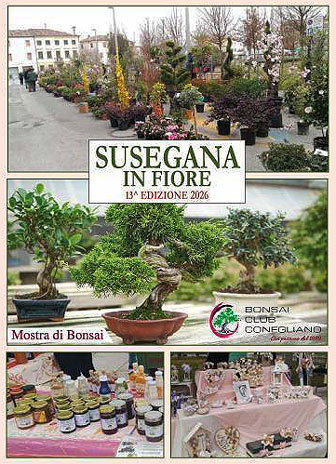 SUSEGANA PASSEGGIATA LE COLLINE NASCOSTE