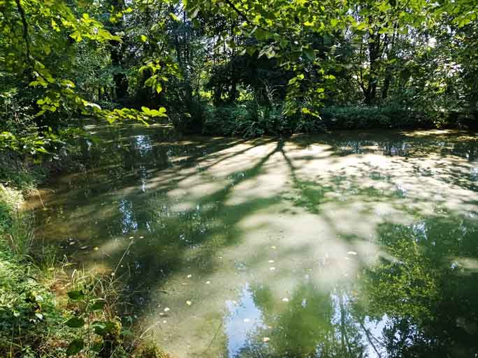 treviso giardini svelati visite e passeggiate