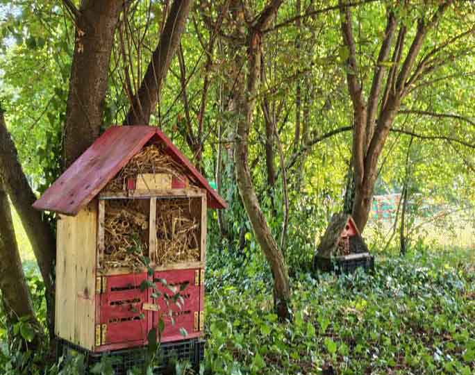 treviso giardini svelati visite naturalistiche