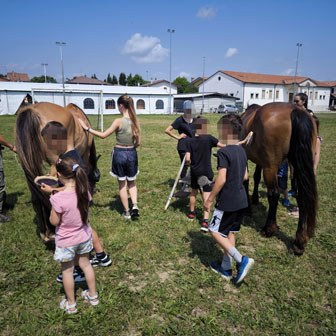 Armonia Equestre