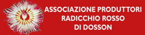 associazione produttori radicchio rosso di dosson treviso