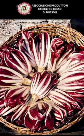 FESTA DEL RADICCHIO ROSSO DI TREVISO A DOSSON presentazione