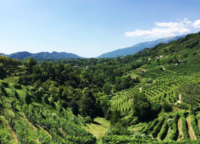 colline di farra di soligo