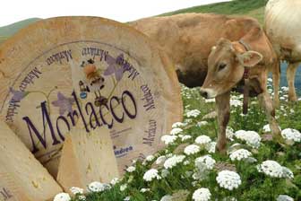 formaggio morlacco