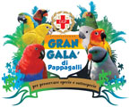 gran galà di pappagalli