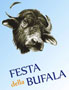 associazione noi don bosco di pezzan di istrana