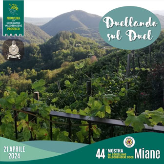 2024 MIANE MOSTRA DEL CONEGLIANO VALDOBBIADENE DOCG  Camminata Duellando sul Duel