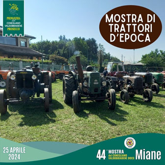 2024 miane mostra di trattori d'epoca