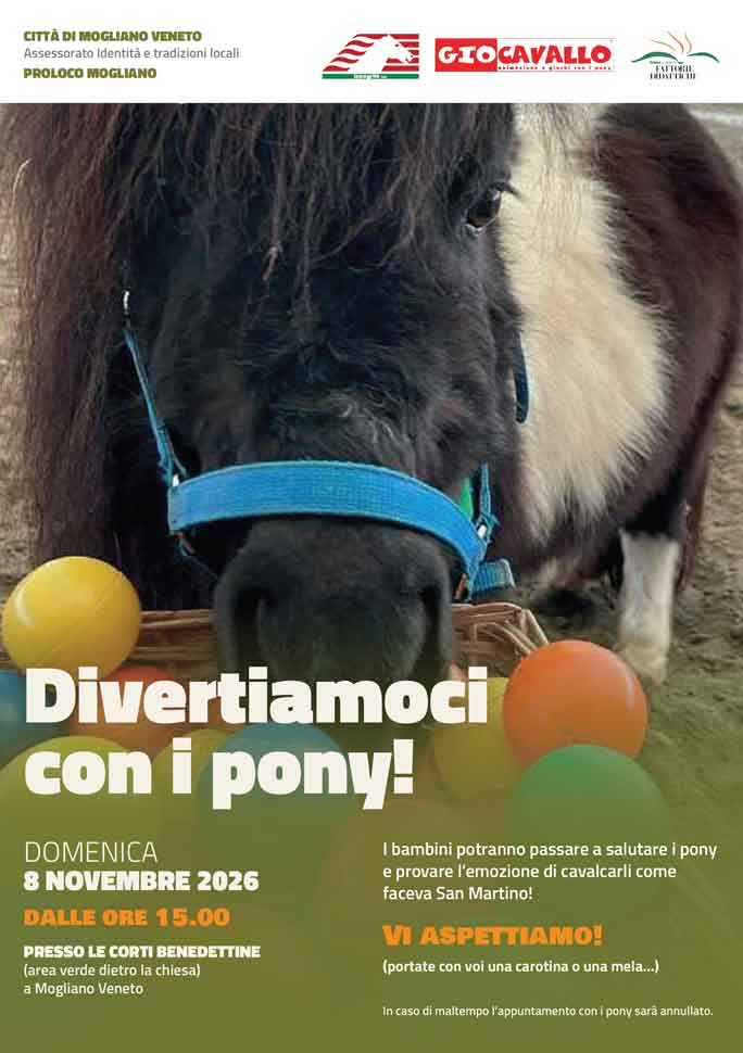 mogliano veneto gio cavallo