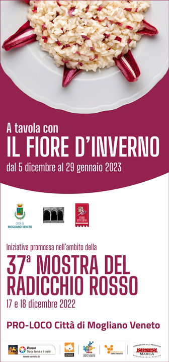 mogliano veneto percorso enogastronomico a tavola con il fiore di inverno radicchio rosso di treviso 2022 2023