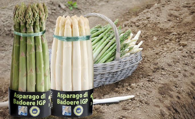 badoere asparagi bianchi e asparagi verdi