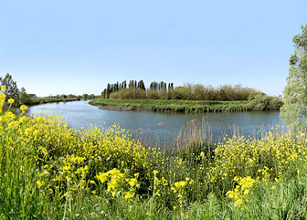 parco del fiume sile a quarto d'altino