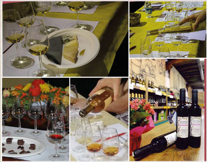 2023 refrontolo rassegna nazionale dei vini passiti degustazioni
