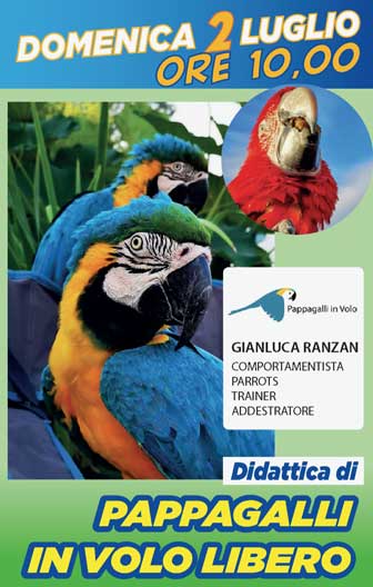 2023 SPRESIANO pappagalli in volo libero