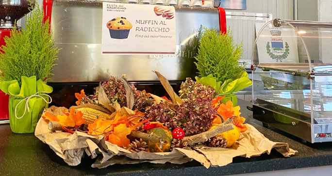 spresiano festa del radicchio rosso di treviso e prodotti stagionali