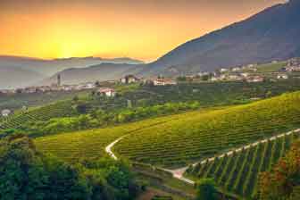 susegana passeggiata le colline nascoste