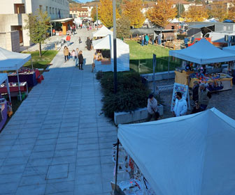 susegana mostra mercato prodotti stagionali hobbisti