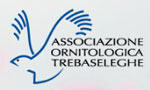 associazione ornitologica di trebaseleghe 