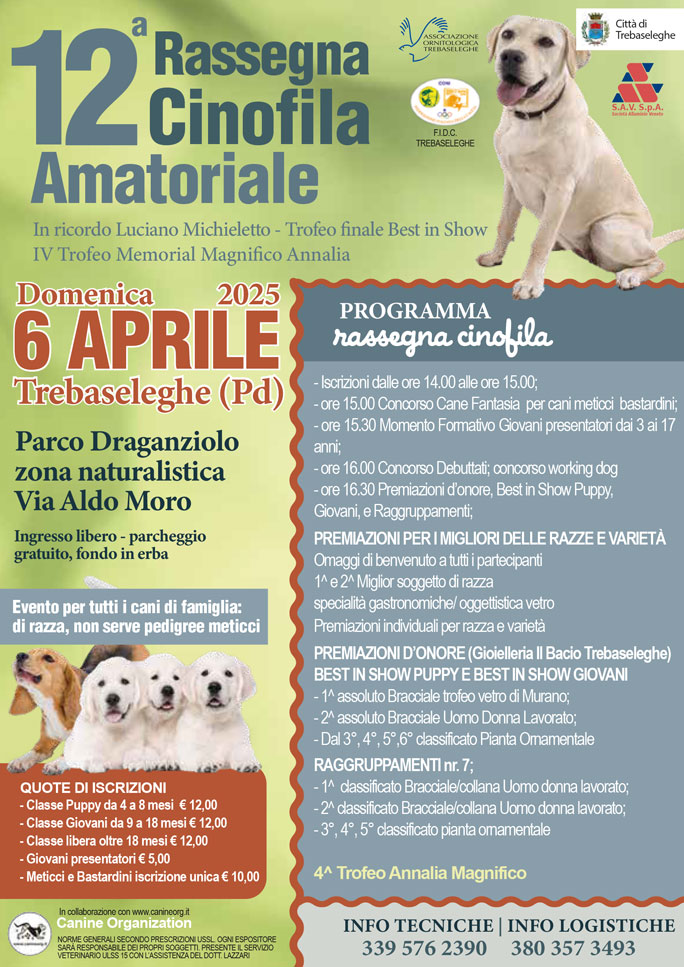 2025 TREBASELEGHE RASSEGNA CINOFILA AMATORIALE
