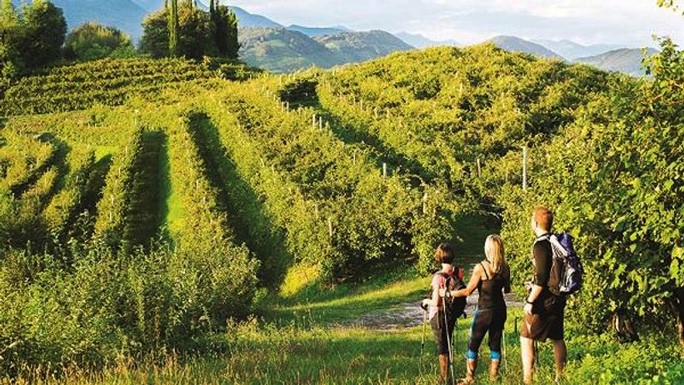 camminate sulle colline del prosecco