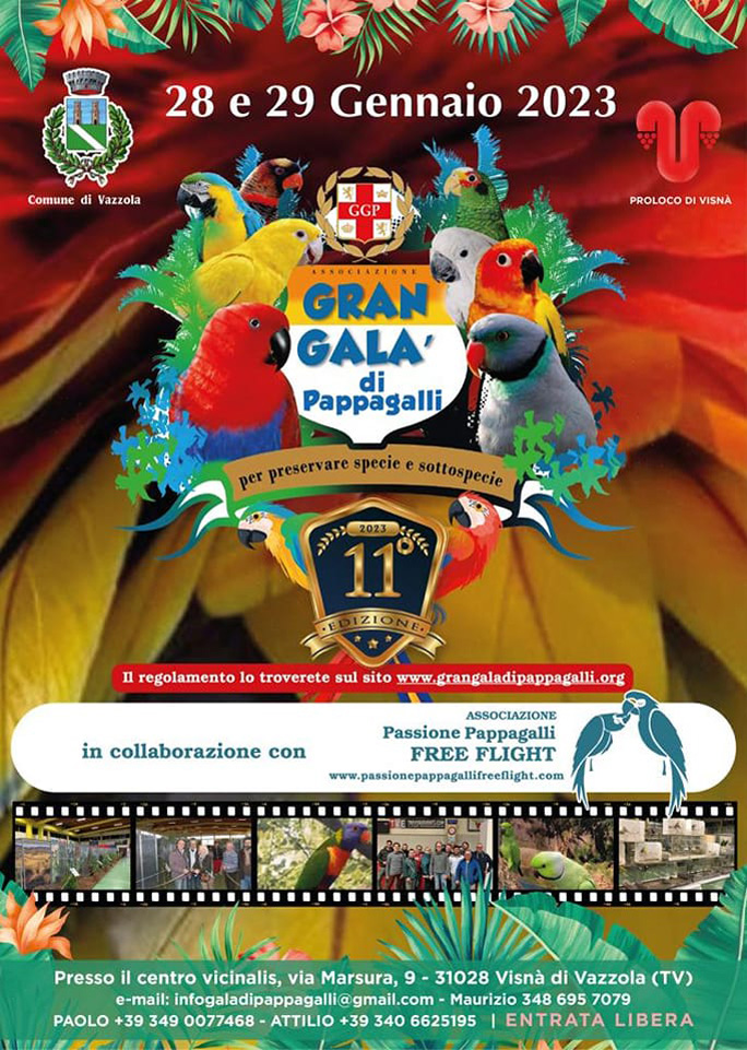 2023 GRAN GALA' DEI PAPPAGALLI