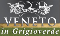 VENETO IN GRIGIOVERDE MOSTRA MERCATO DI MILITARIA