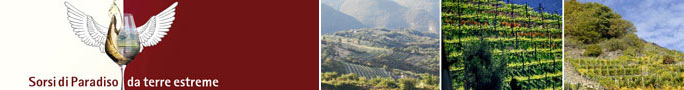 cantine di vini di terre estreme