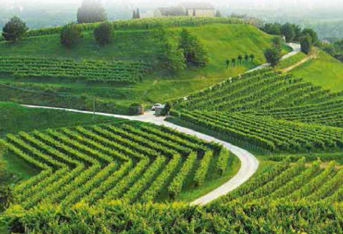 colline di vittorio veneto