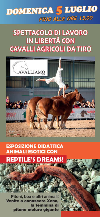 SPRESIANO FIERA DEGLI UCCELLI spettaacoli