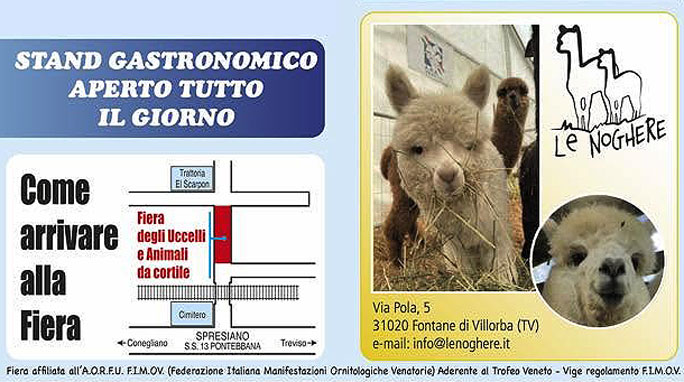 SPRESIANO FIERA DEGLI UCCELLI STAND GASTRONOMICO