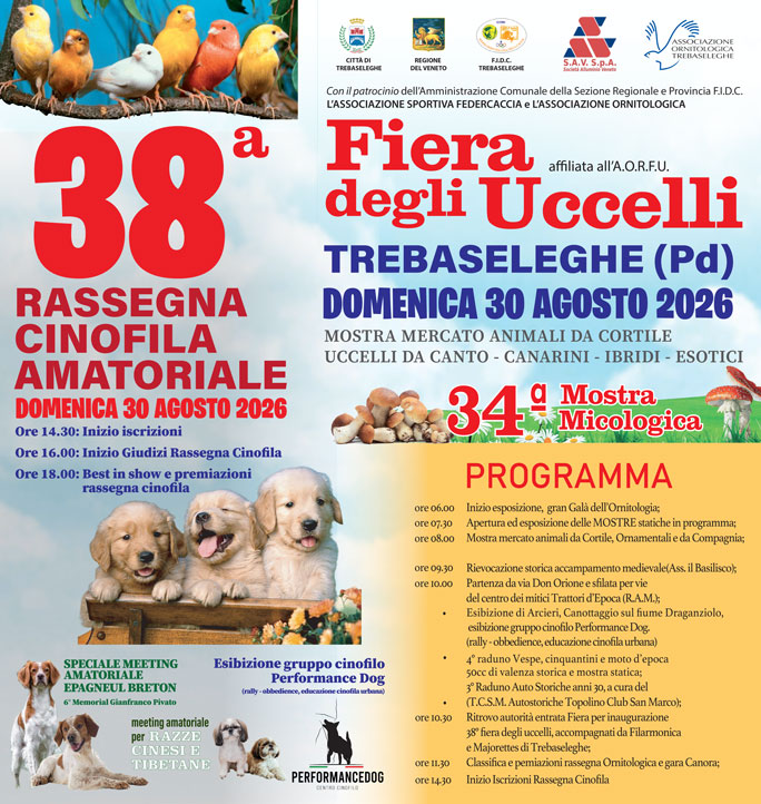trebaseleghe fiera degli uccelli e rassegna cinofila amatoriale