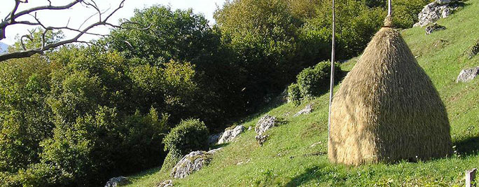 LONGARONE FIERA AGRIMONT AGRICOLTURA DI MONTAGNA