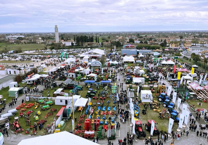 ANTICA FIERA DI GODEGA area espositiva