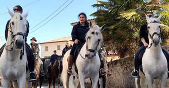 ANTICA FIERA DI GODEGA cavalli