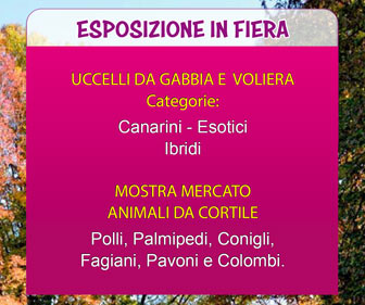2023 nervesa della battaglia fiera degli uccelli esposizione
