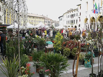 mercato florovivaistico