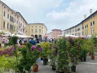 mostra mercato fiori e piante