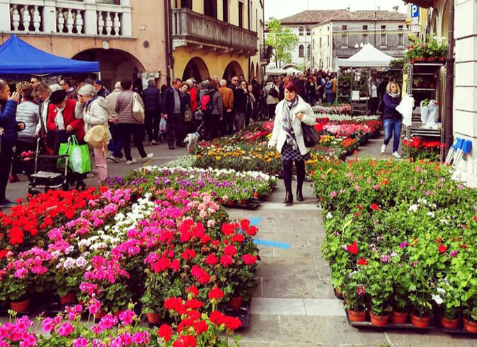 Sacile Fiera Primaverile vendita fiori e piante