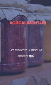 SACILE SAGRA DEI OSEI  ESPOSITORI AGROALIMENTARE